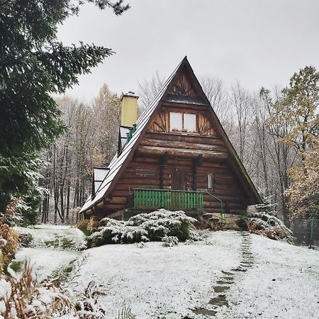 Kosarzowka Villa Bielsko-Biała Exteriör bild