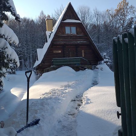 Kosarzowka Villa Bielsko-Biała Exteriör bild