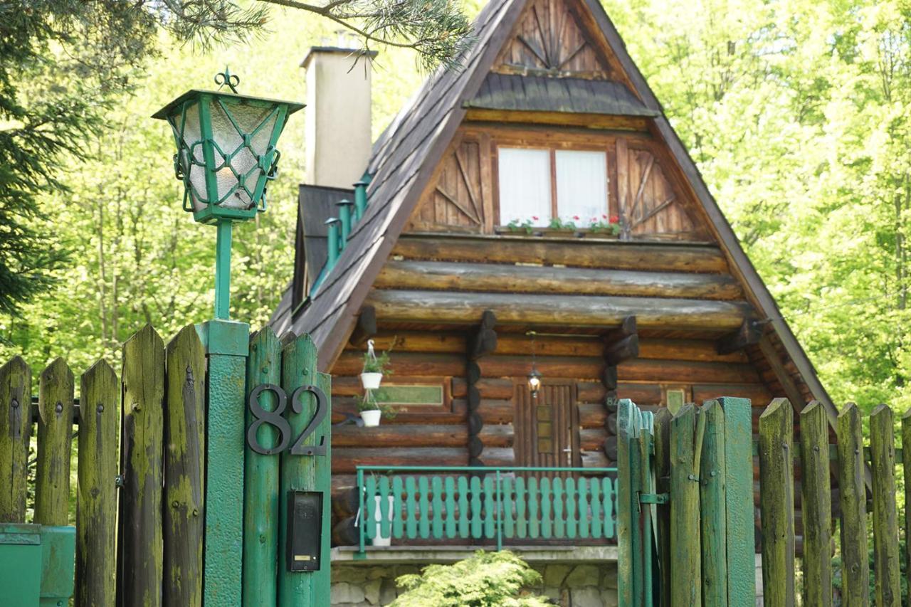 Kosarzowka Villa Bielsko-Biała Exteriör bild