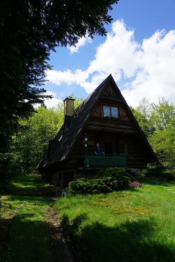 Kosarzowka Villa Bielsko-Biała Exteriör bild