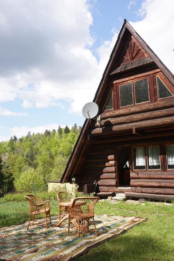 Kosarzowka Villa Bielsko-Biała Exteriör bild