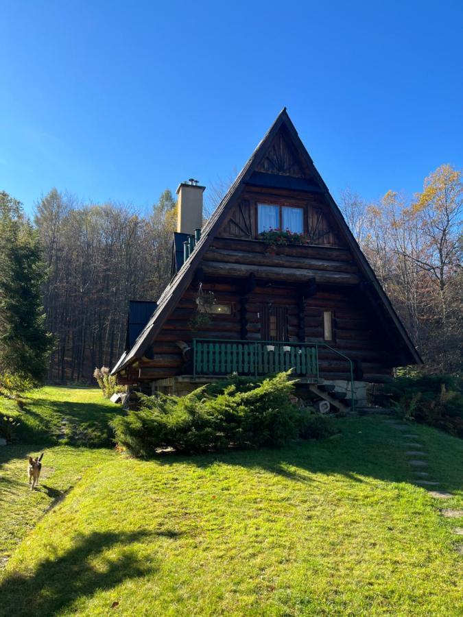 Kosarzowka Villa Bielsko-Biała Exteriör bild