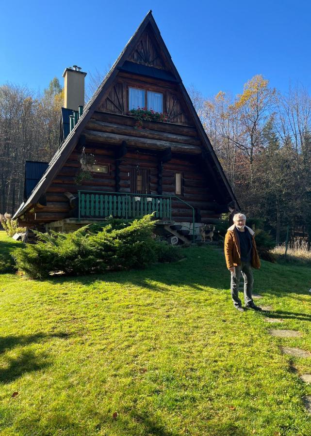 Kosarzowka Villa Bielsko-Biała Exteriör bild
