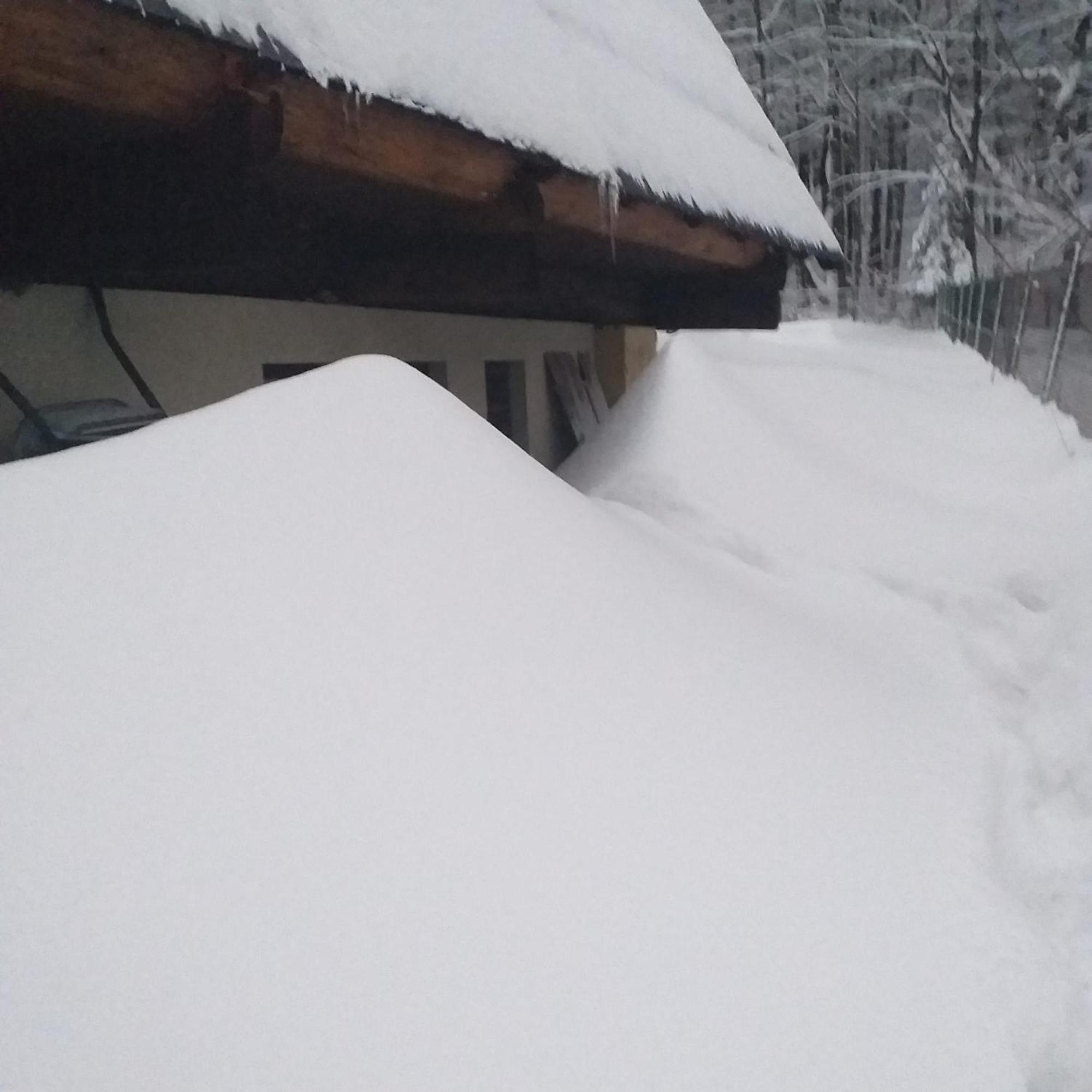 Kosarzowka Villa Bielsko-Biała Exteriör bild